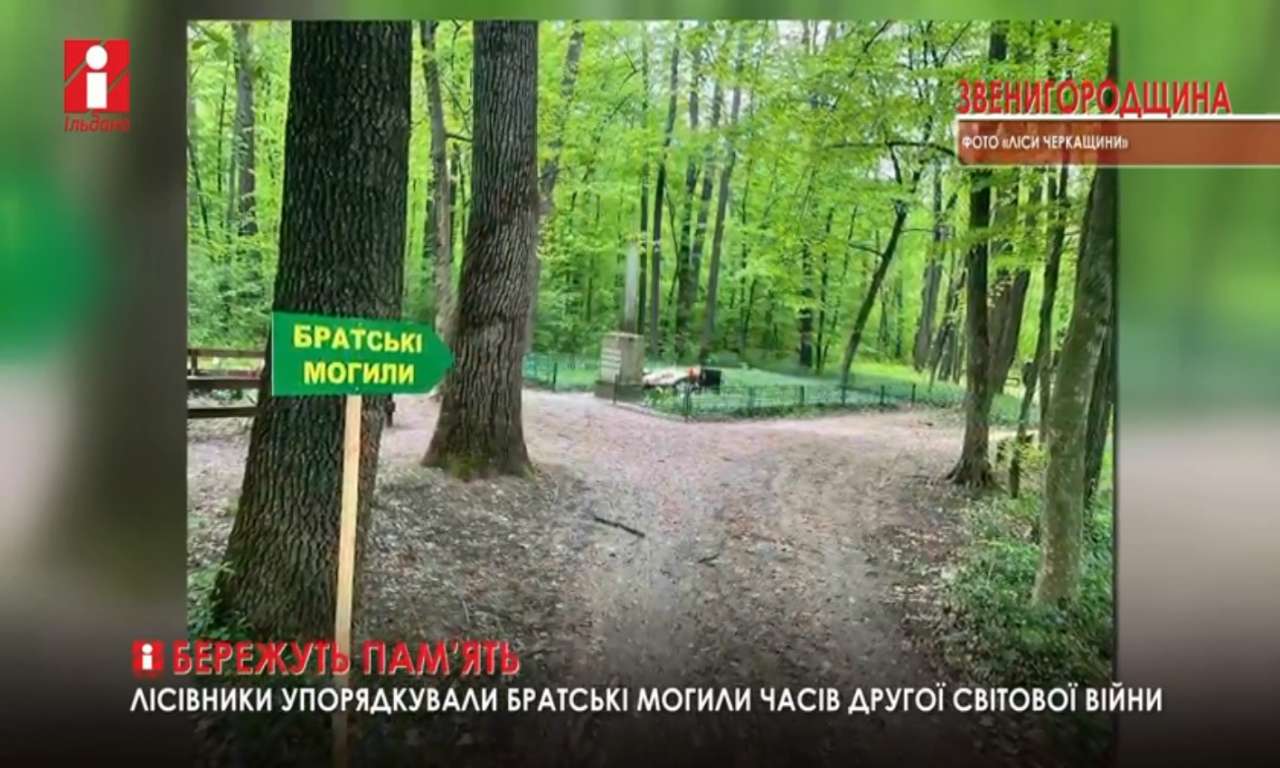 Звенигородські лісівники упорядкували братську могилу в урочищі «Діброва» (ВІДЕО)